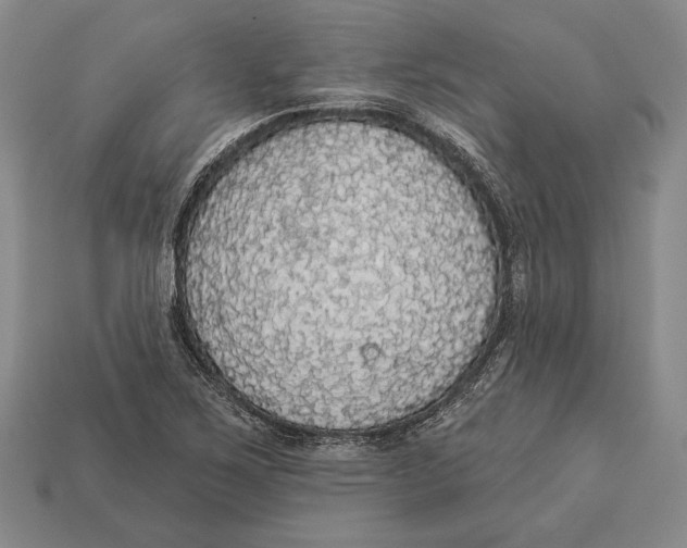 X0000112911267200909211023