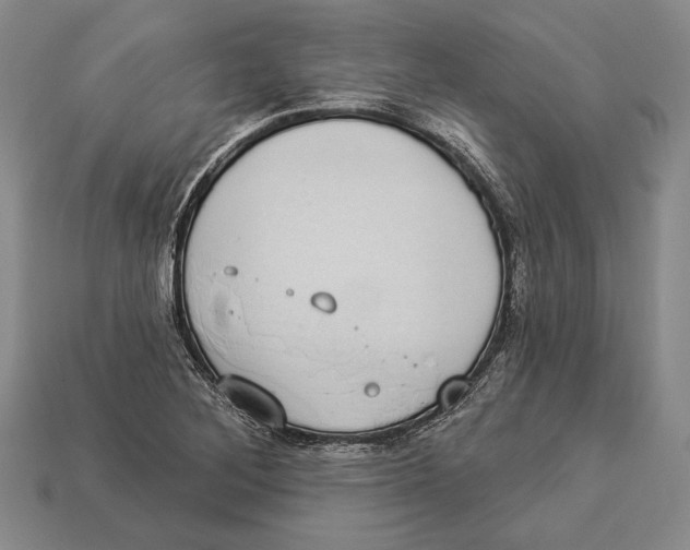 X0000112911268200909211023