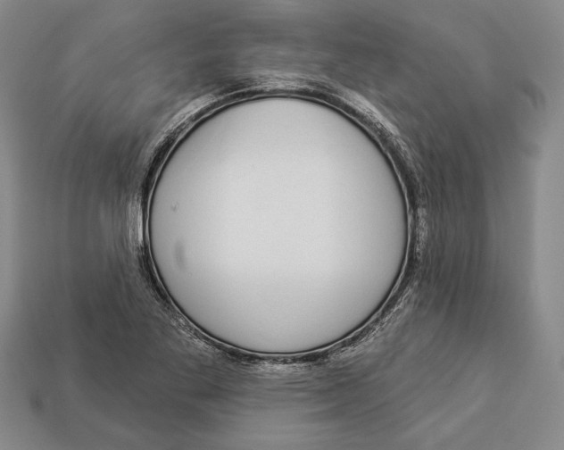 X0000112911269200909211023