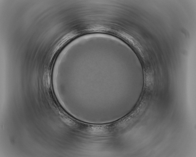 X0000112911274200909211023