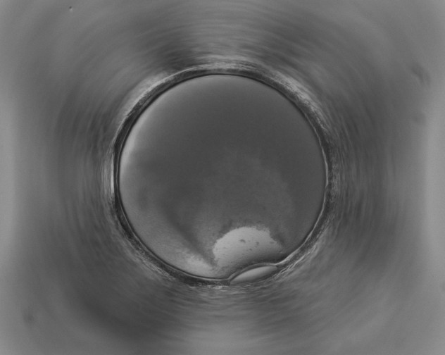 X0000112911275200909211023