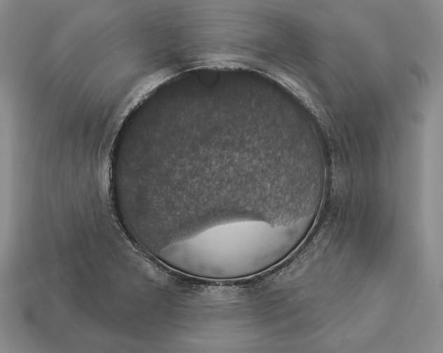 X0000112911277200909211023