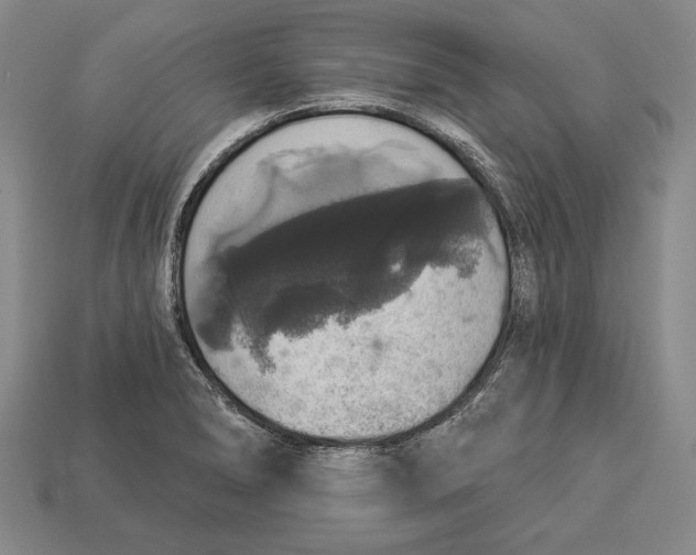 X0000112911278200909211023