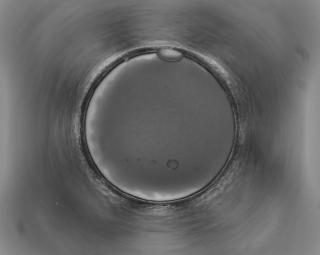 X0000112911279200909211023