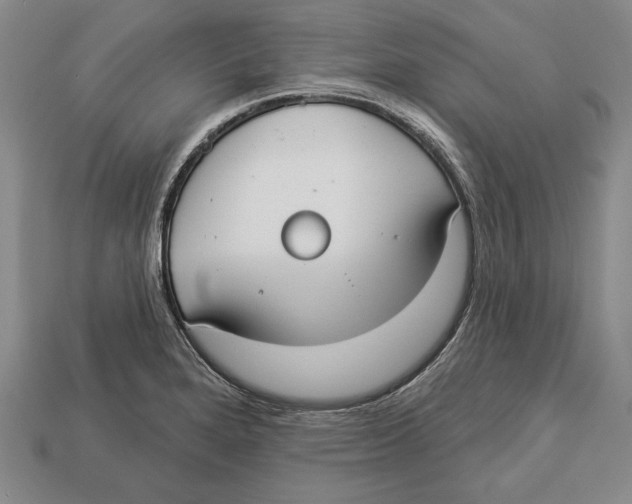 X0000112911280200909211023