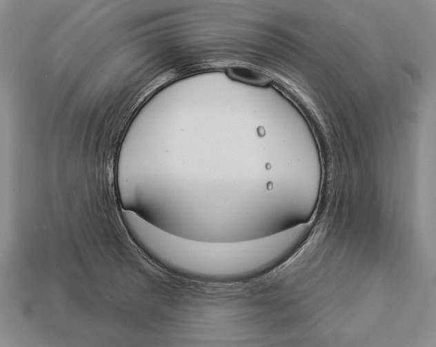 X0000112911281200909211023