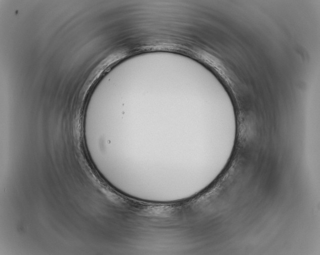 X0000112911282200909211023