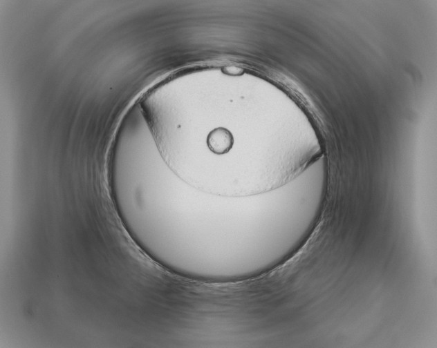 X0000112911284200909211023