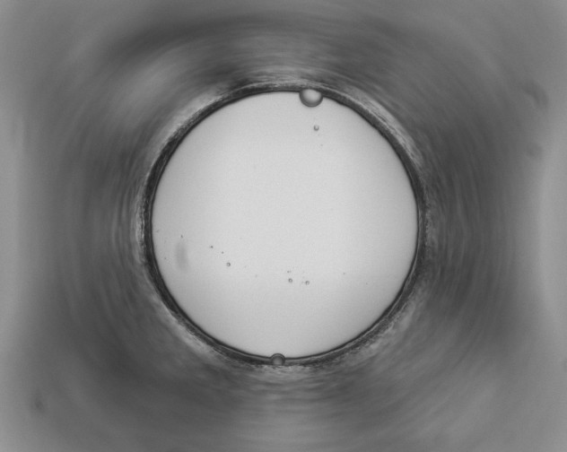 X0000112911285200909211023