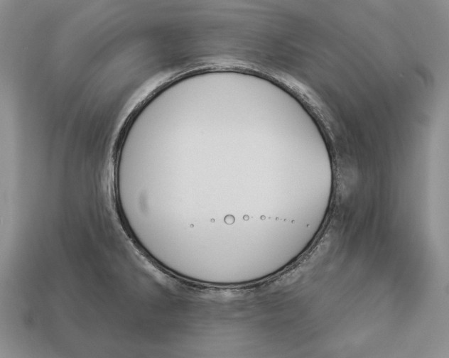 X0000112911286200909211023