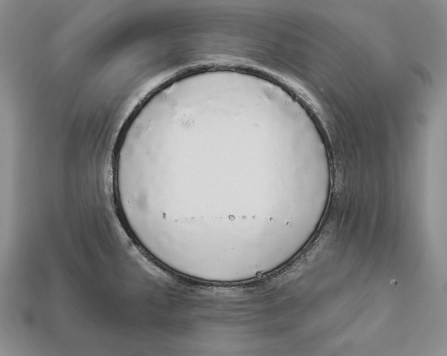 X0000112911287200909211023