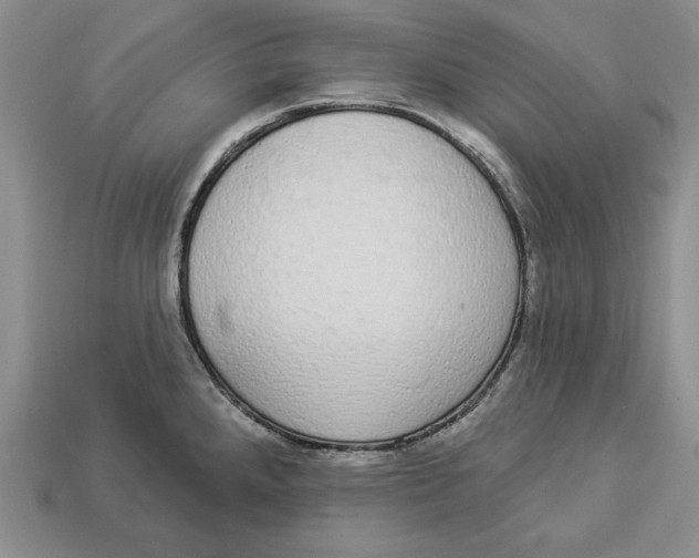 X0000112911288200909211023