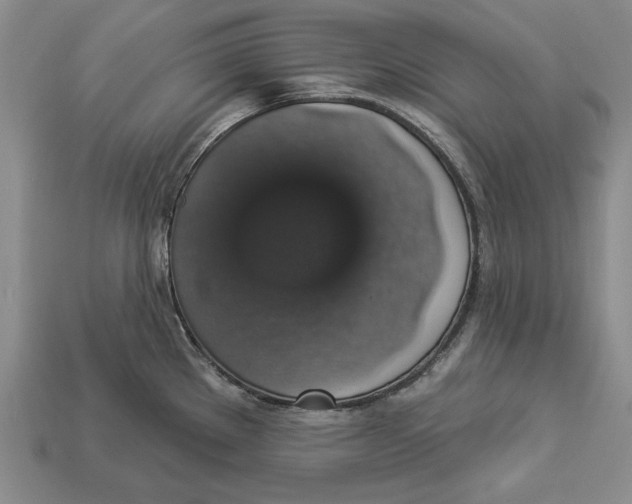 X0000112911289200909211023