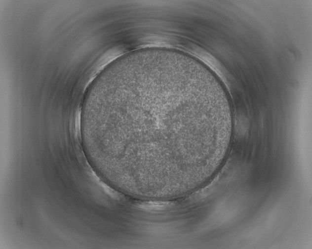 X0000112911290200909211023