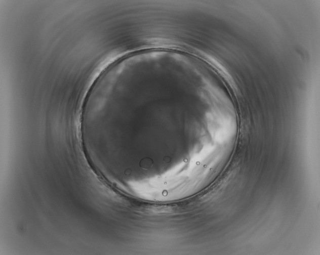 X0000112911291200909211023