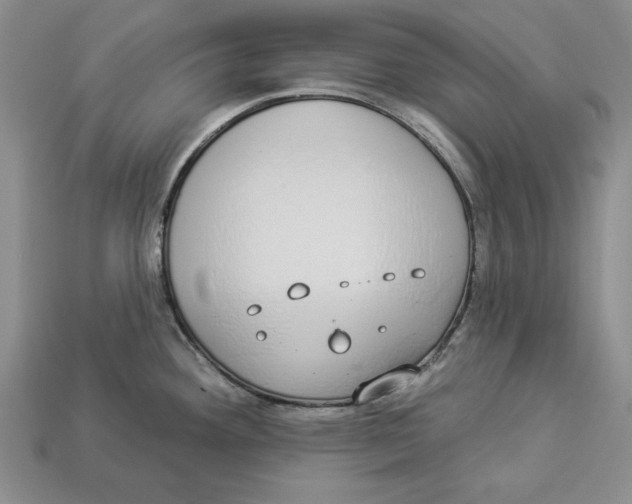 X0000112911292200909211023