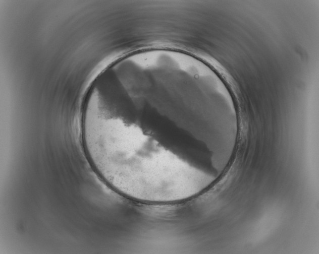 X0000112911294200909211023