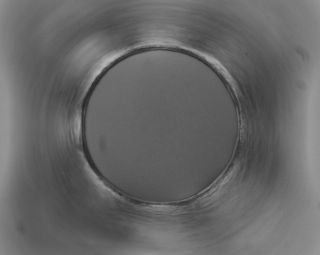 X0000112911295200909211023