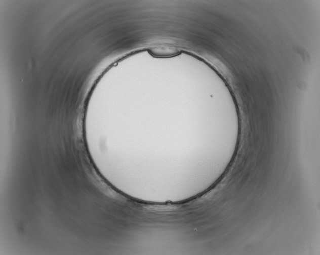 X0000112911296200909211023