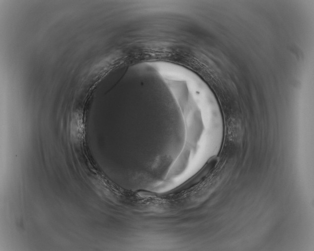 X0000112911298200909211022