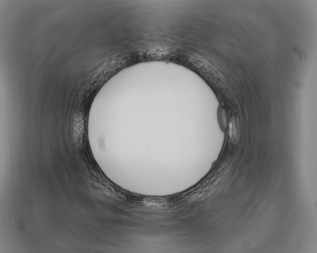 X0000112911299200909211022