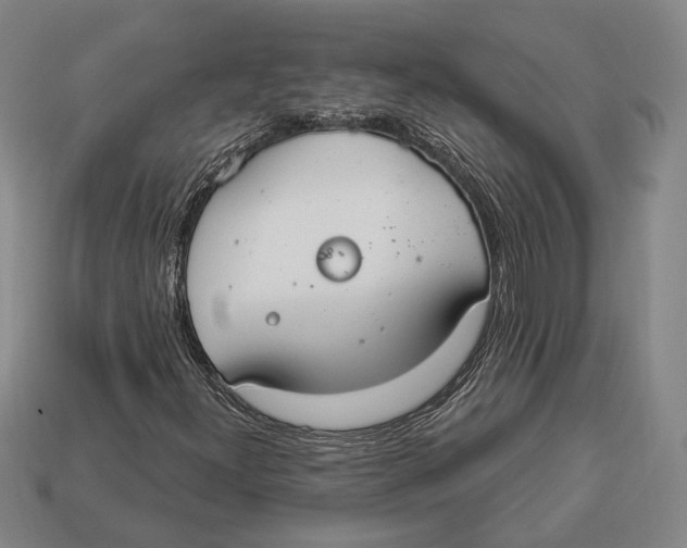 X0000112911300200909211022