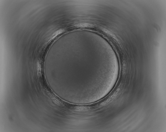 X0000112911305200909211023