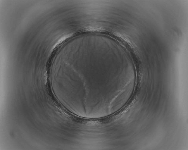 X0000112911306200909211023