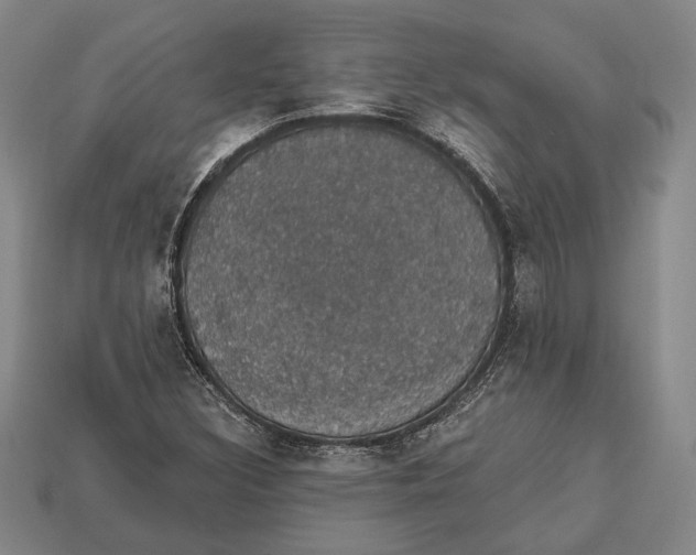 X0000112911308200909211023