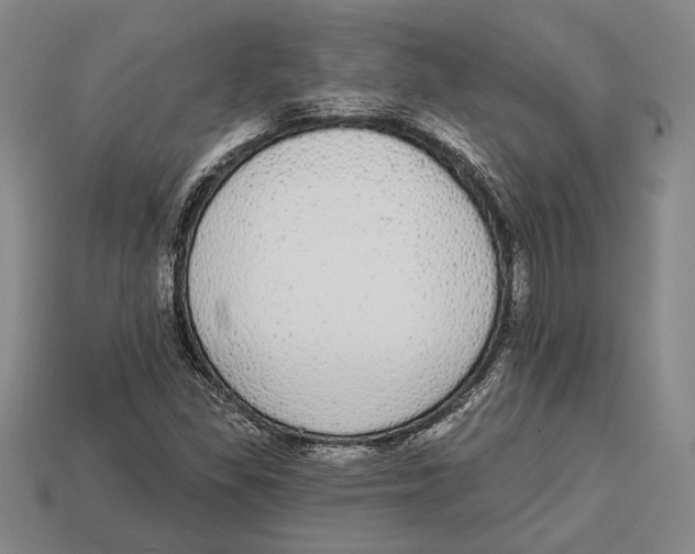 X0000112911309200909211023