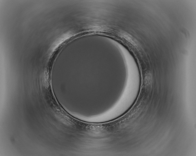 X0000112911310200909211023