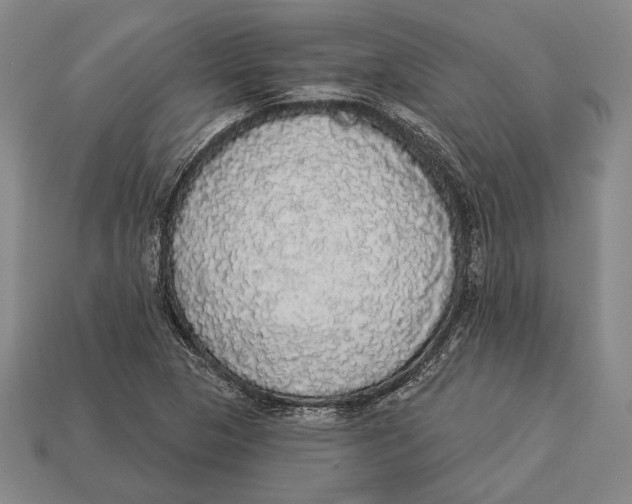 X0000112911313200909211023