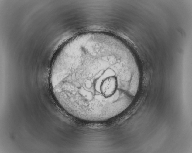 X0000112911314200909211023