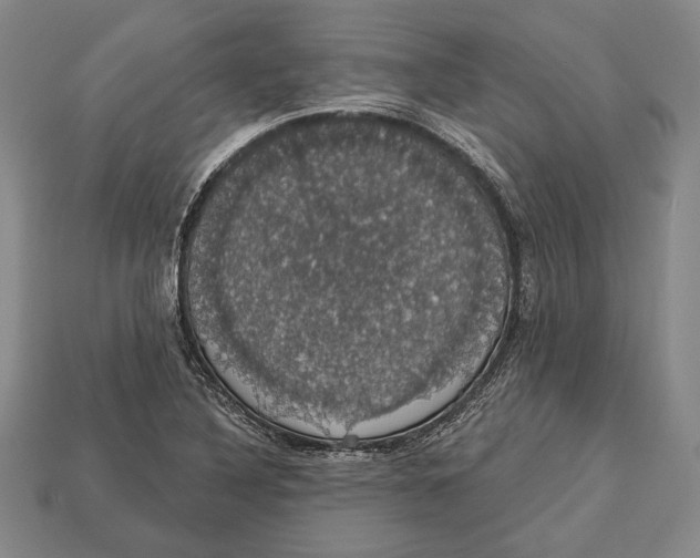 X0000112911316200909211023