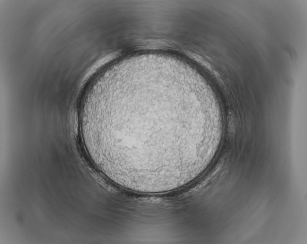 X0000112911317200909211023