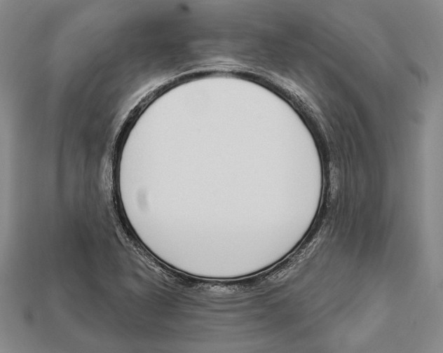 X0000112911318200909211023