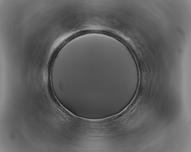 X0000112911319200909211023