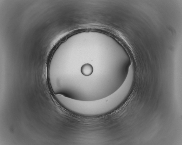 X0000112911320200909211023