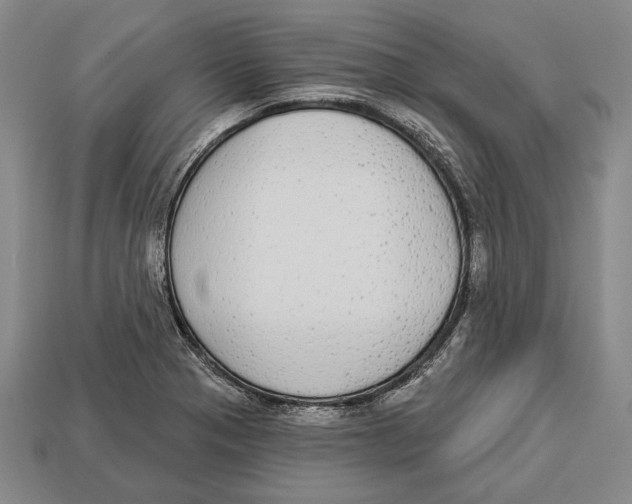 X0000112911321200909211023