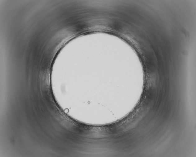 X0000112911322200909211023