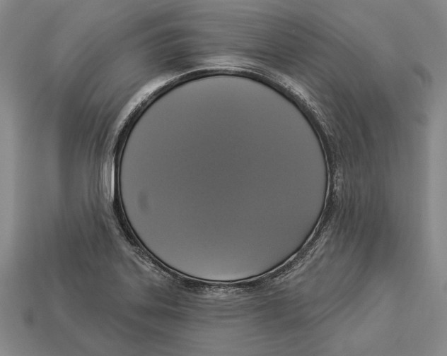 X0000112911323200909211023