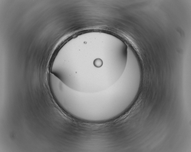 X0000112911324200909211023