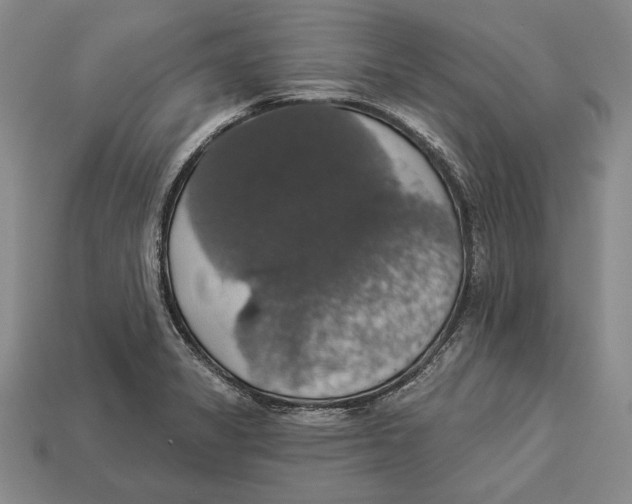 X0000112911325200909211023