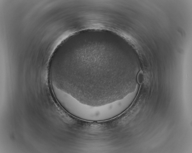 X0000112911326200909211023