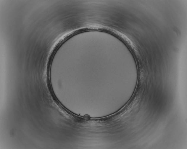 X0000112911327200909211023