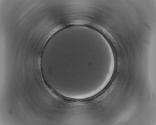 X0000112911329200909211023