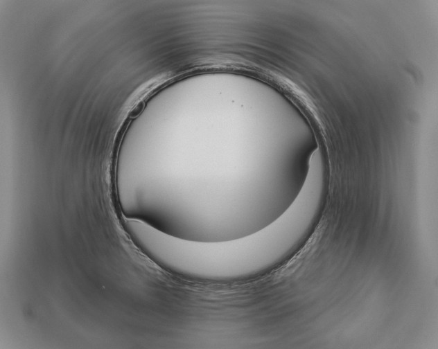 X0000112911330200909211023