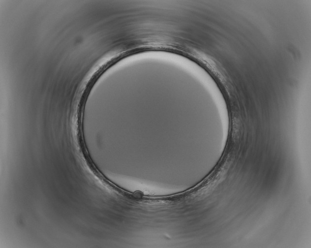 X0000112911331200909211023