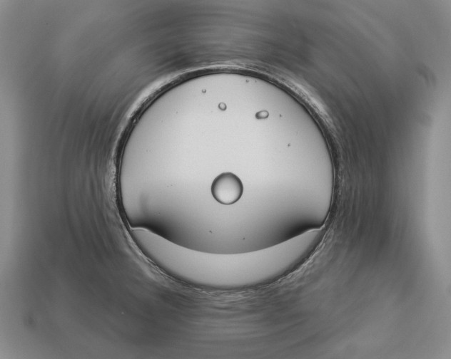 X0000112911332200909211023