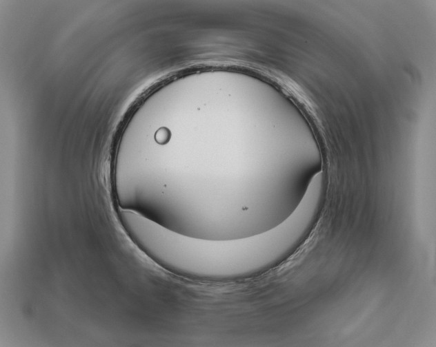 X0000112911334200909211023